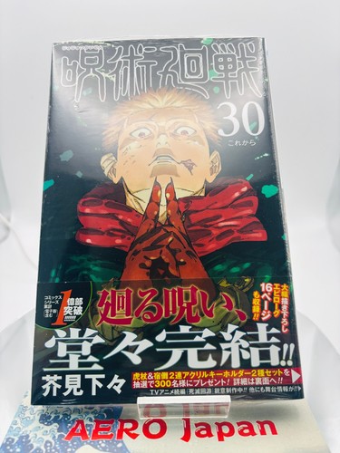 Stampa jujutsu kaisen - 1°,