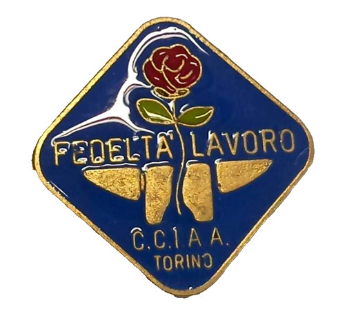 Pin spilla fedelta lavoro - fedelta',