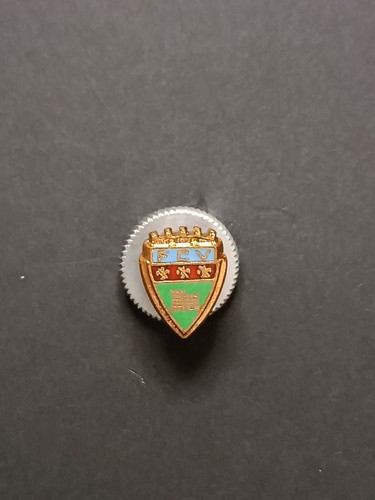 Pins pin badge spilla - badge,