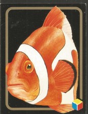 Animali da salvare ; 126 Bis 