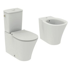 Coppia di sanitari con