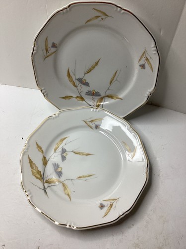 Bayreuth rosenthal germany - rosenthal,