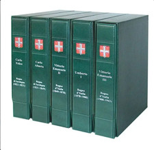 RACCOGLITORE + CUSTODIA