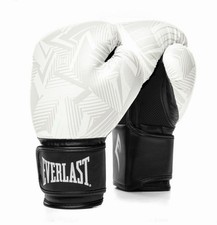 Everlast Spark Boxing Training