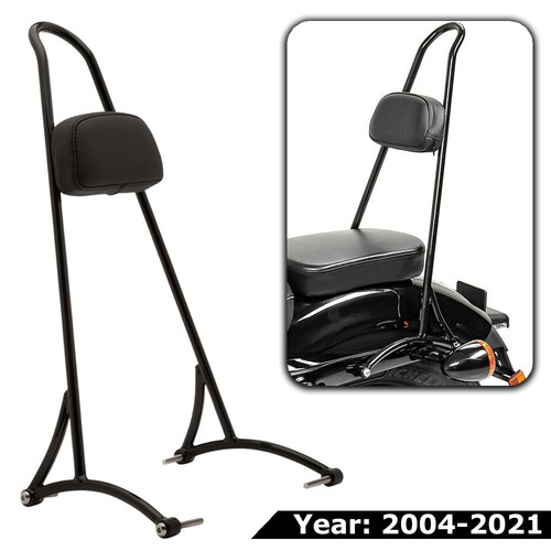Tall sissy bar passenger - sissy,