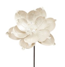 L'Oca Nera - Il Giardino Delle