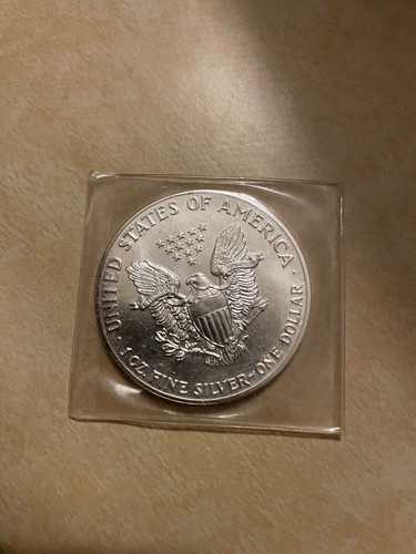 Dollaro moneta american - dollaro, silver