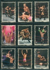 2004 fleer wwe - 2004,