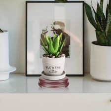  Espositore Per Fiori Alzatina