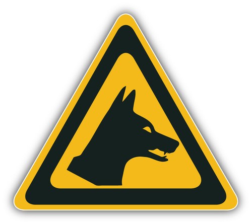 Adesivo auto dingo cane - adesivo, avviso