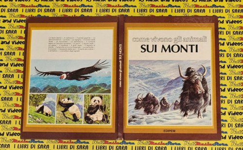 Book libro come vivono - libro,