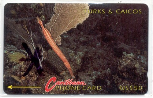 Raro turks caicos gpt - caicos,