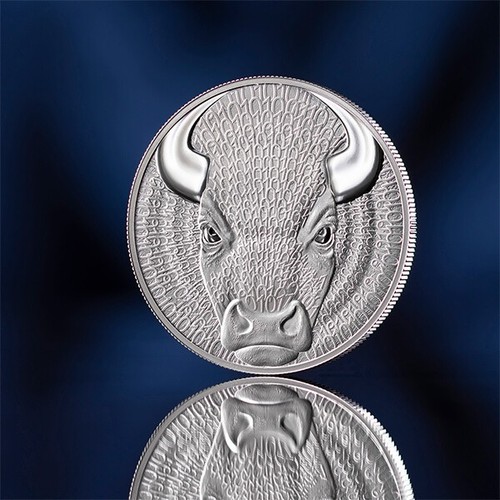 Bull binary world ucs 1000 - bull,
