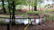 Photo 12x8 one - 12x8, a