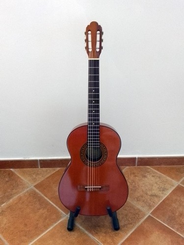 Chitarra melody guitars - melody,