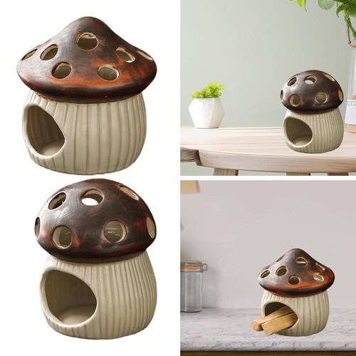 Porta funghi - porta-funghi,, porta-salvia