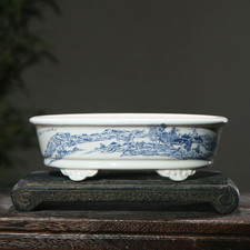 rarissimo vaso bonsai ovale "