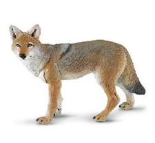 Safari Ltd 227229 Coyote