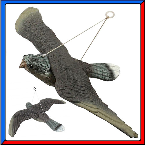 Falco finto spaventapasseri - falco,