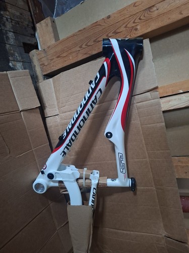 Cannondale rush carbonio - cannondale, sl
