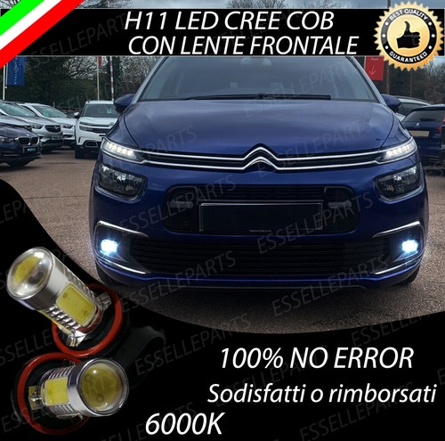 Coppia lampade fendinebbia h11 - lampade,