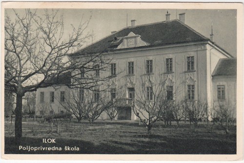 Ilok croazia croatia - croazia,