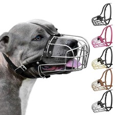 Pitbull Museruola per Cani