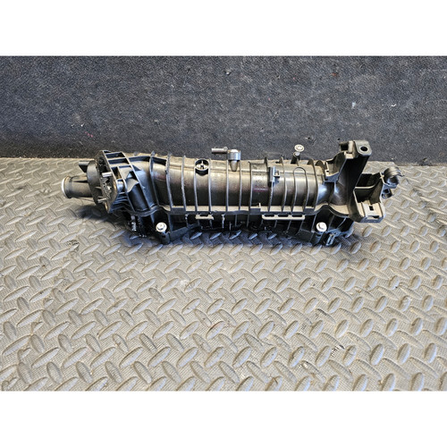 7807991 11617807991 collettore - 11617807991,