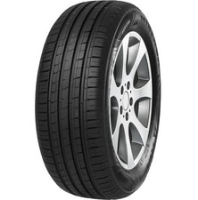 MINERVA F209 205/55 R15 88 V