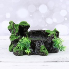  Reptile Nascondere La Grotta