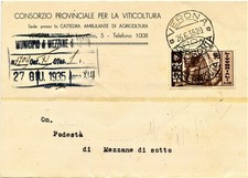 154 Storia Postale Regno d’Italia 1935 Cartolina Postale Littorali 30 c. bruno