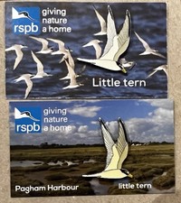 2x Little Tern Pins - RSPB -