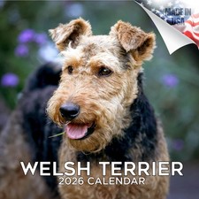 Calendario Welsh Terrier 2026