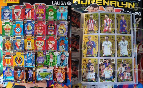 Coleccion completa 513 cromos - coleccion,