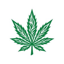 Adesivo Tribal Marijuana