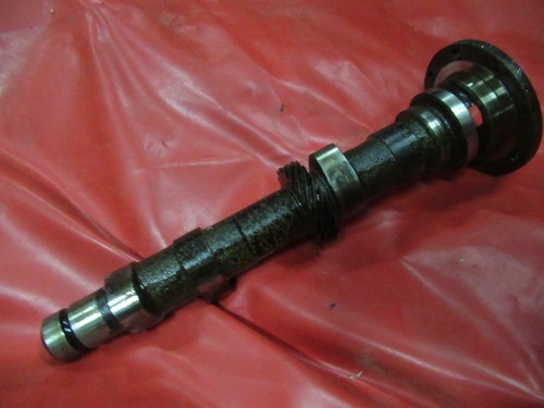 Fiat 500 flr - 500, albero
