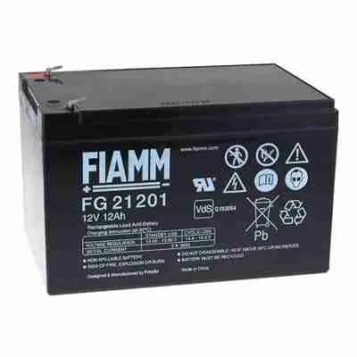 Roger bt12v120 batteria - roger,