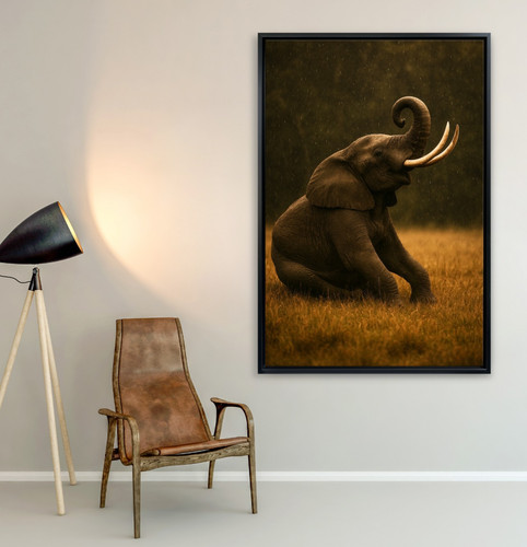 Elefante sotto la pioggia - ✅,