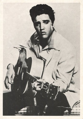 498265 cartolina musicista - 498265),