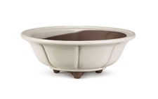 Certrè vaso per bonsai - -,