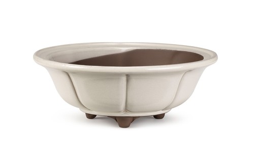 Certrè vaso per bonsai - vaso,