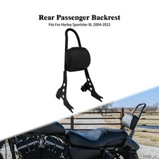 Schienale Sissybar Passeggero