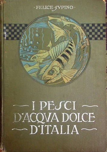 Pesci acqua dolce - i,