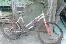 mountain bike benotto