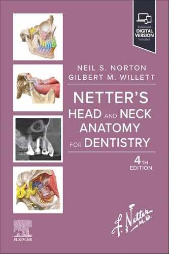 Netter head and neck - head, anatomy