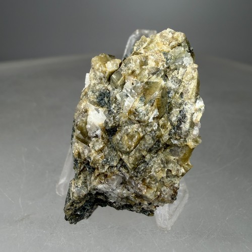 Bel ricco esemplare - , di