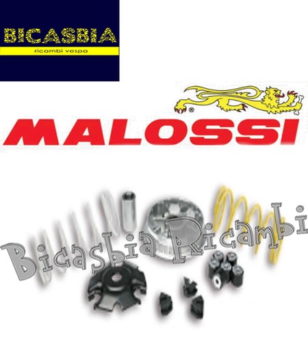 7478 variatore malossi - variatore,