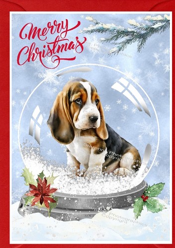 Basset hound puppy dog - basset,