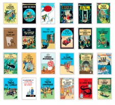 COLLEZIONE TINTIN 24 LIBRI