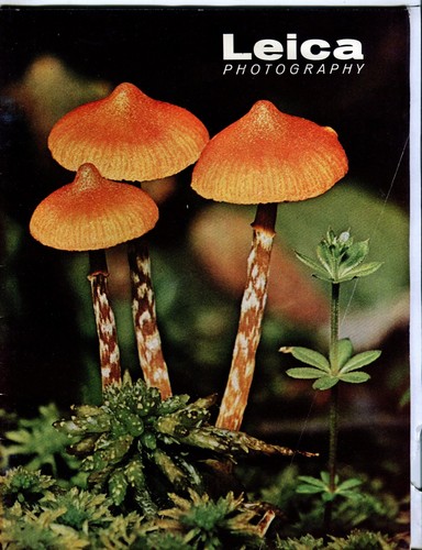 Leica photography magazine - leica,